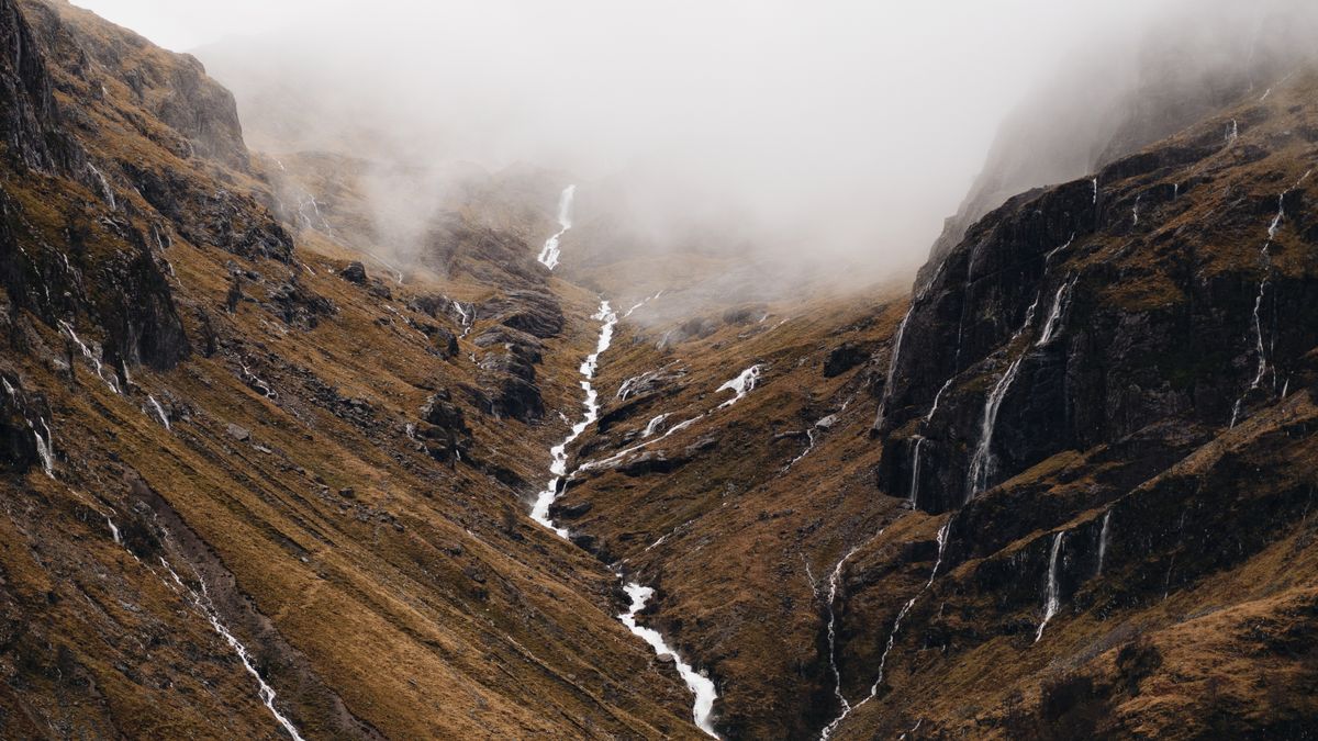 Discovering Scottish Covenanters in Your Family Tree